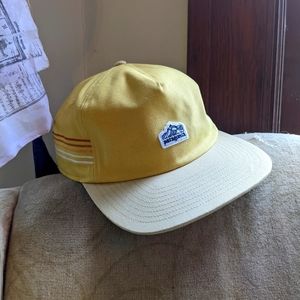 Patagonia line logo cap